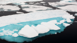 WWF: Prihodnjo sredo vstopamo v ekološki dolg!