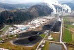 Rešilna bilka premogu, obnovljivi energetiki drobtinice