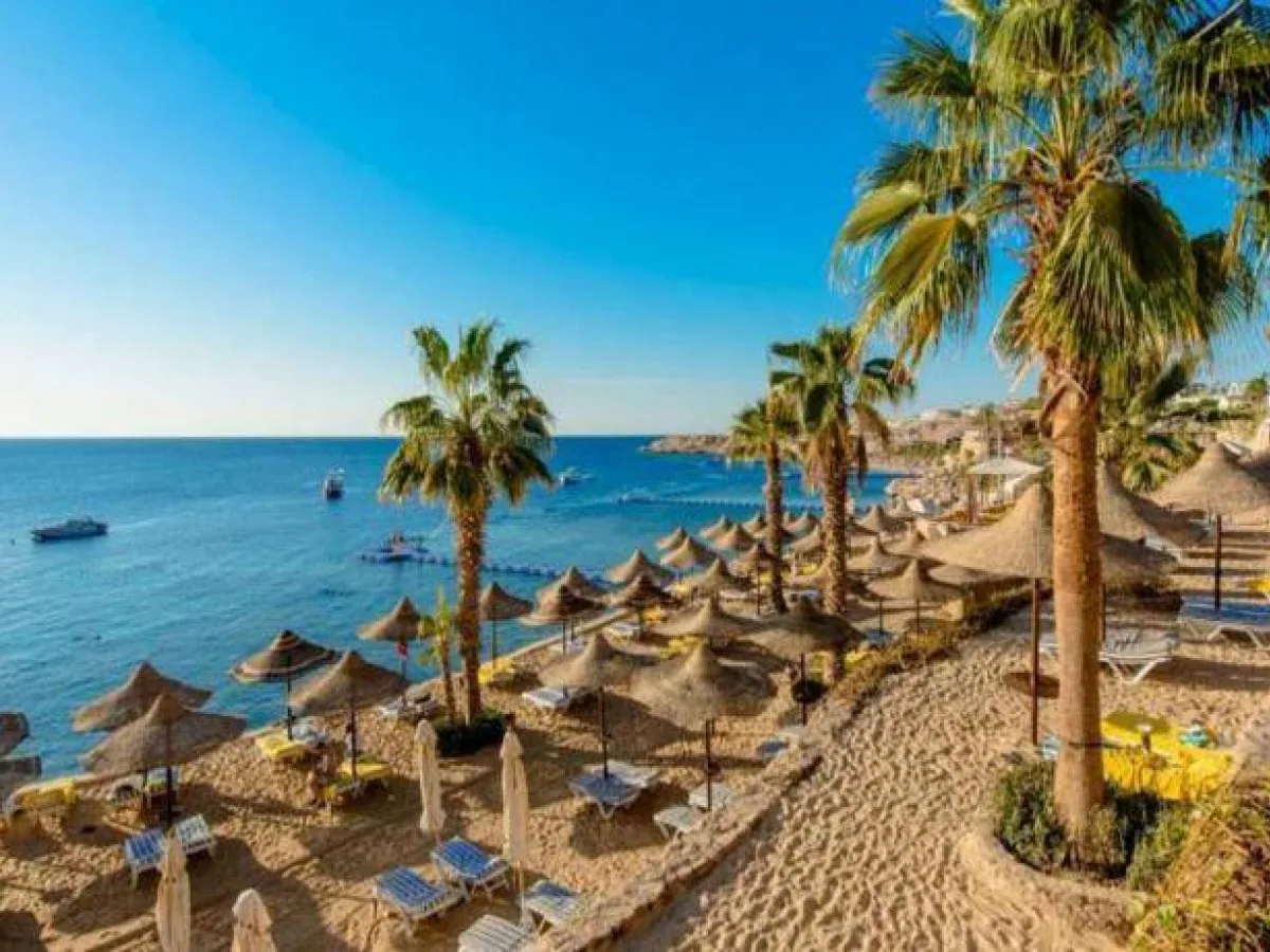 STARŠA NA ROMANTIČEN ODDIH, OTROCI SAMI DOMA: V stanovanju odkrili še 15 zanemarjenih živali