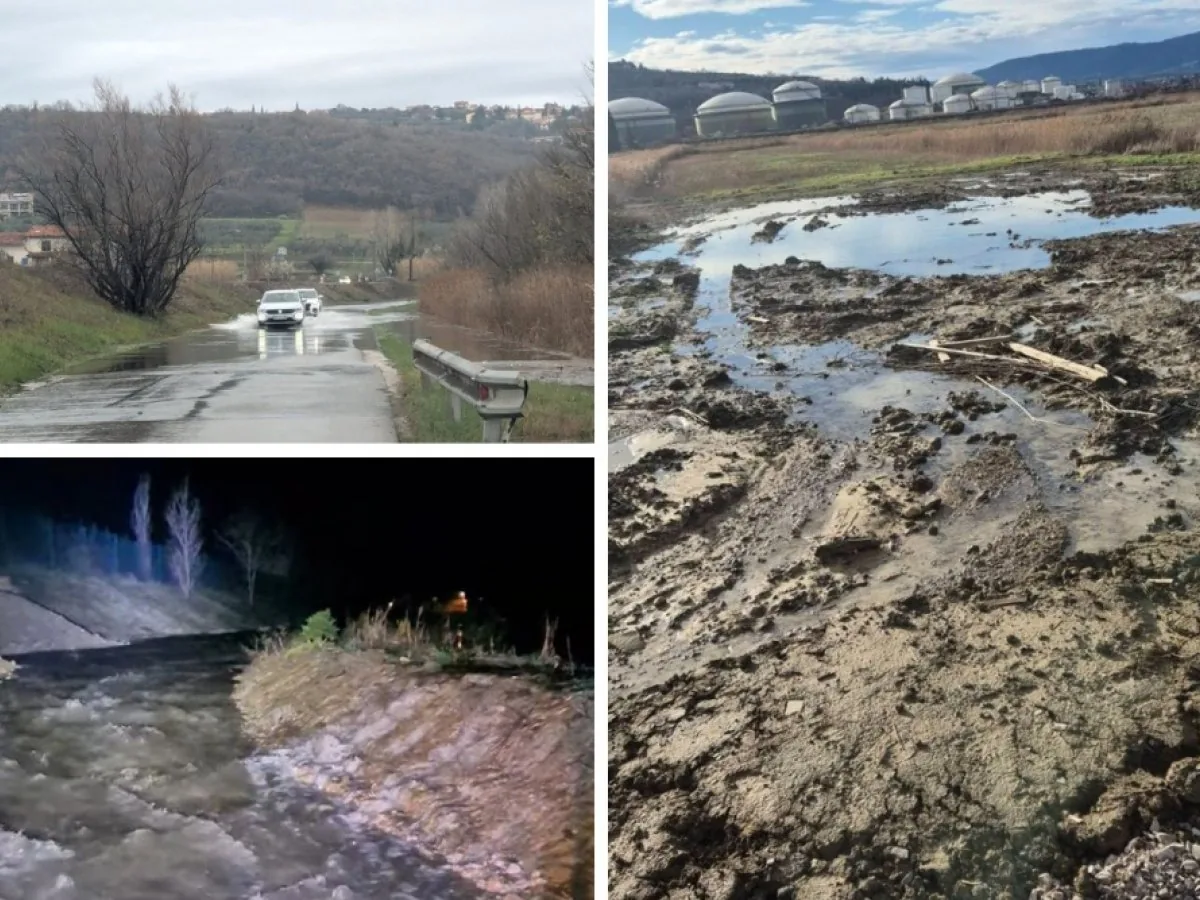 ANKARAN NA USTAVNO SODIŠČE: "Če jih ne dopušča DPN za Luko Koper, je bila pri pripravi narejena napaka"