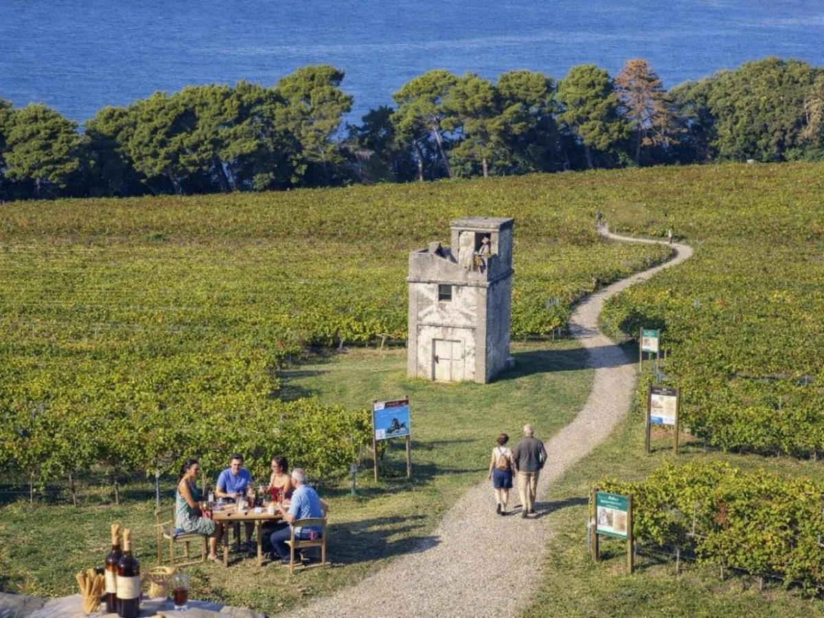OSTANKI VOJNE V ANKARANU BODO TURISTIČNI PRODUKT: V stolp med vinogradi na učno pot in kozarček