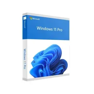 FPP Windows 11 Pro - 64bit ENG USB Microsoft