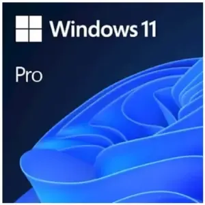 FPP Windows 11 Pro - 64bit SLO USB Microsoft