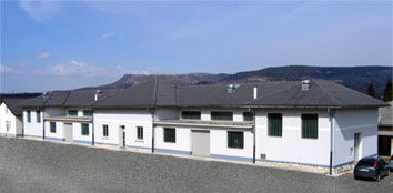 Delavnica