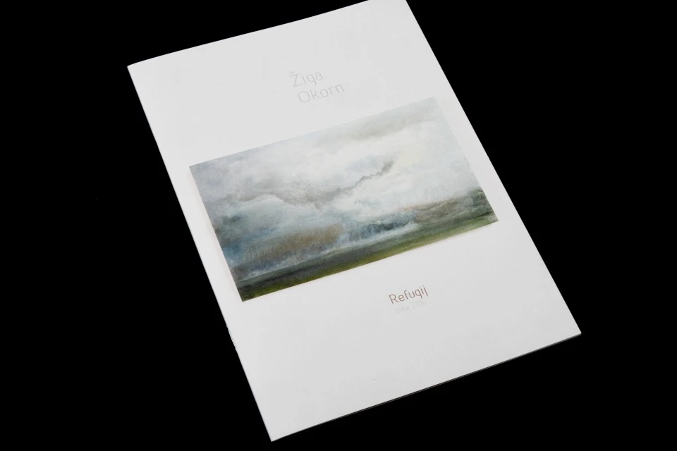 Žiga Okorn — 6
