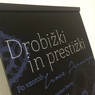 Razstava čipk