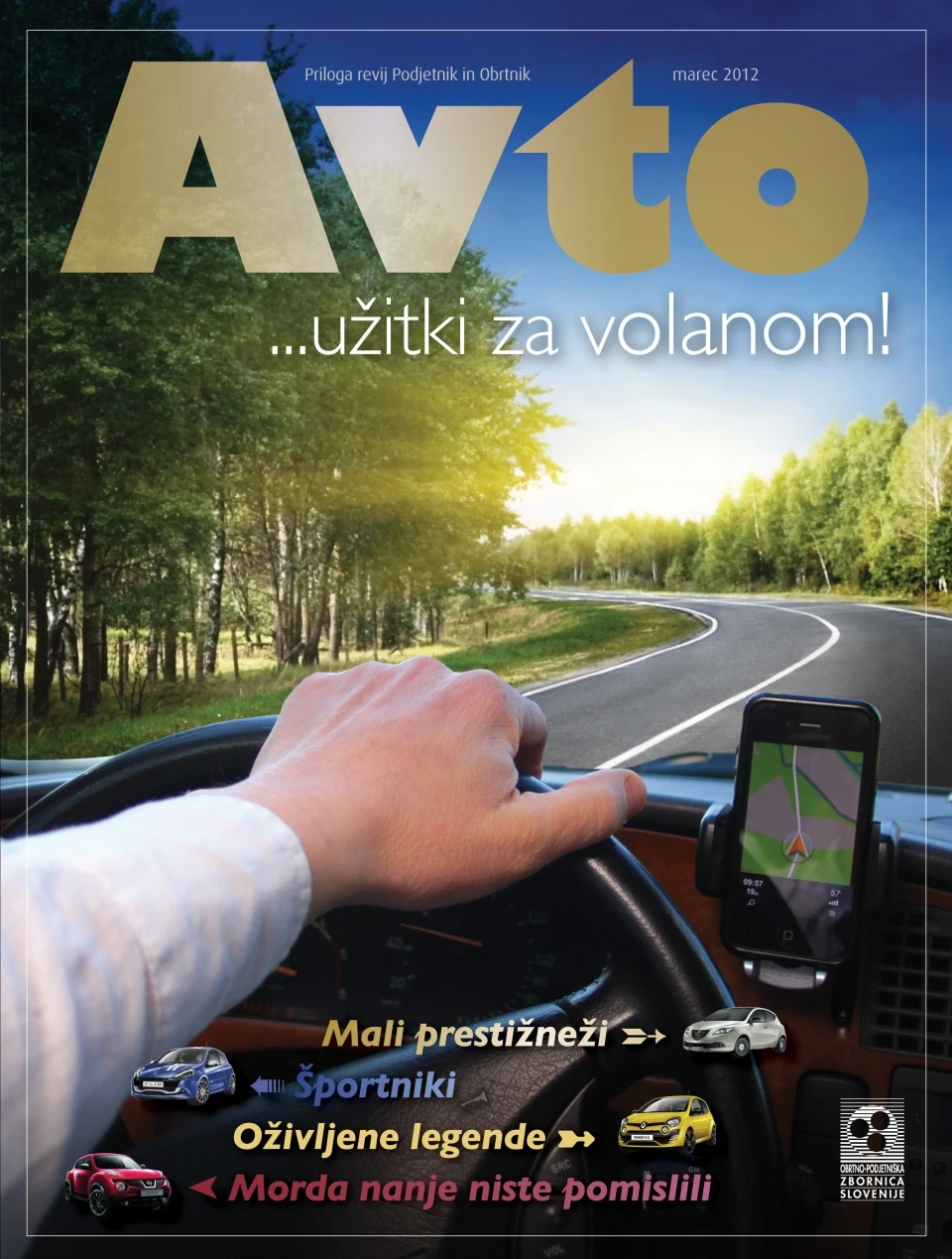 Revija Podjetnik — 17