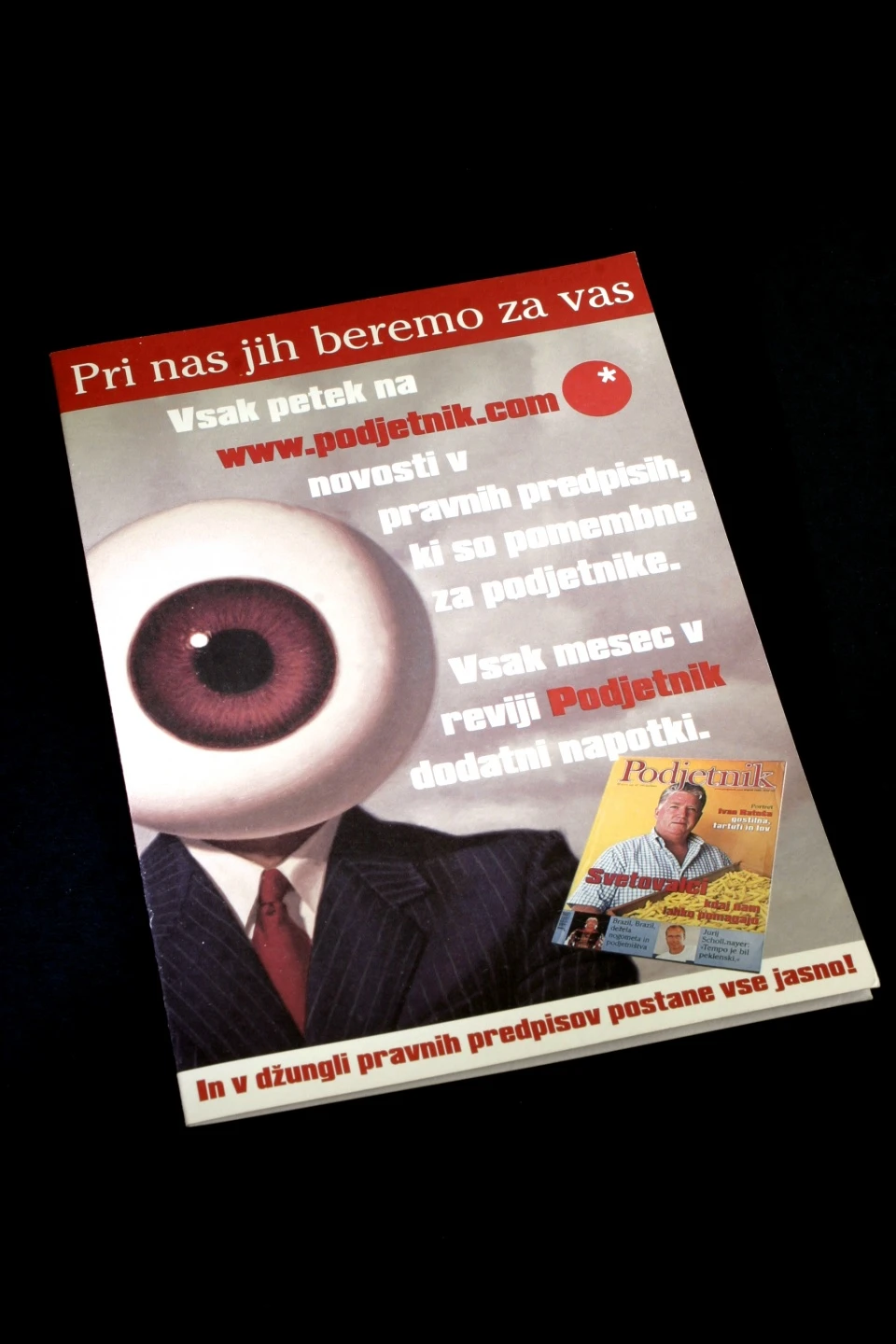 Revija Podjetnik — 30