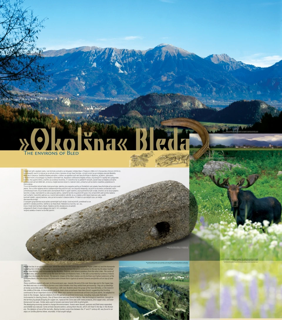 Blejski grad - stalna postavitev — 8