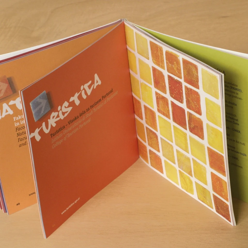 Študijski programi — 3