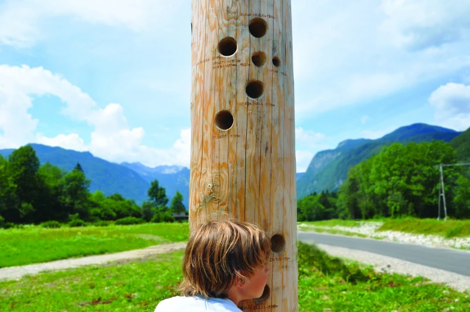 Bohinjska kolesarska pot — 4