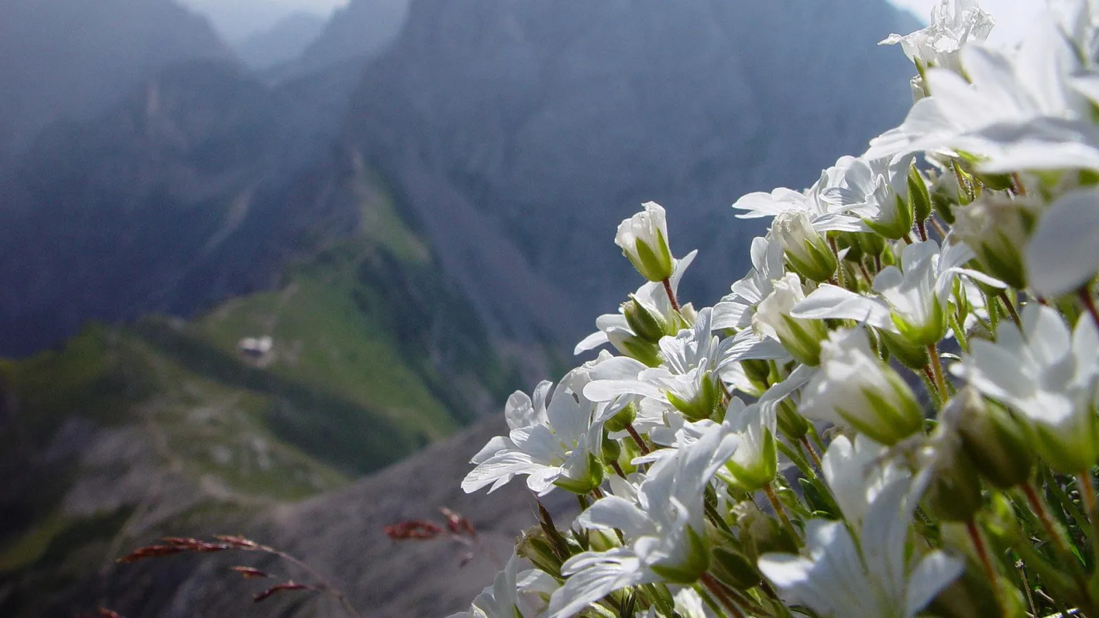 Wandern
