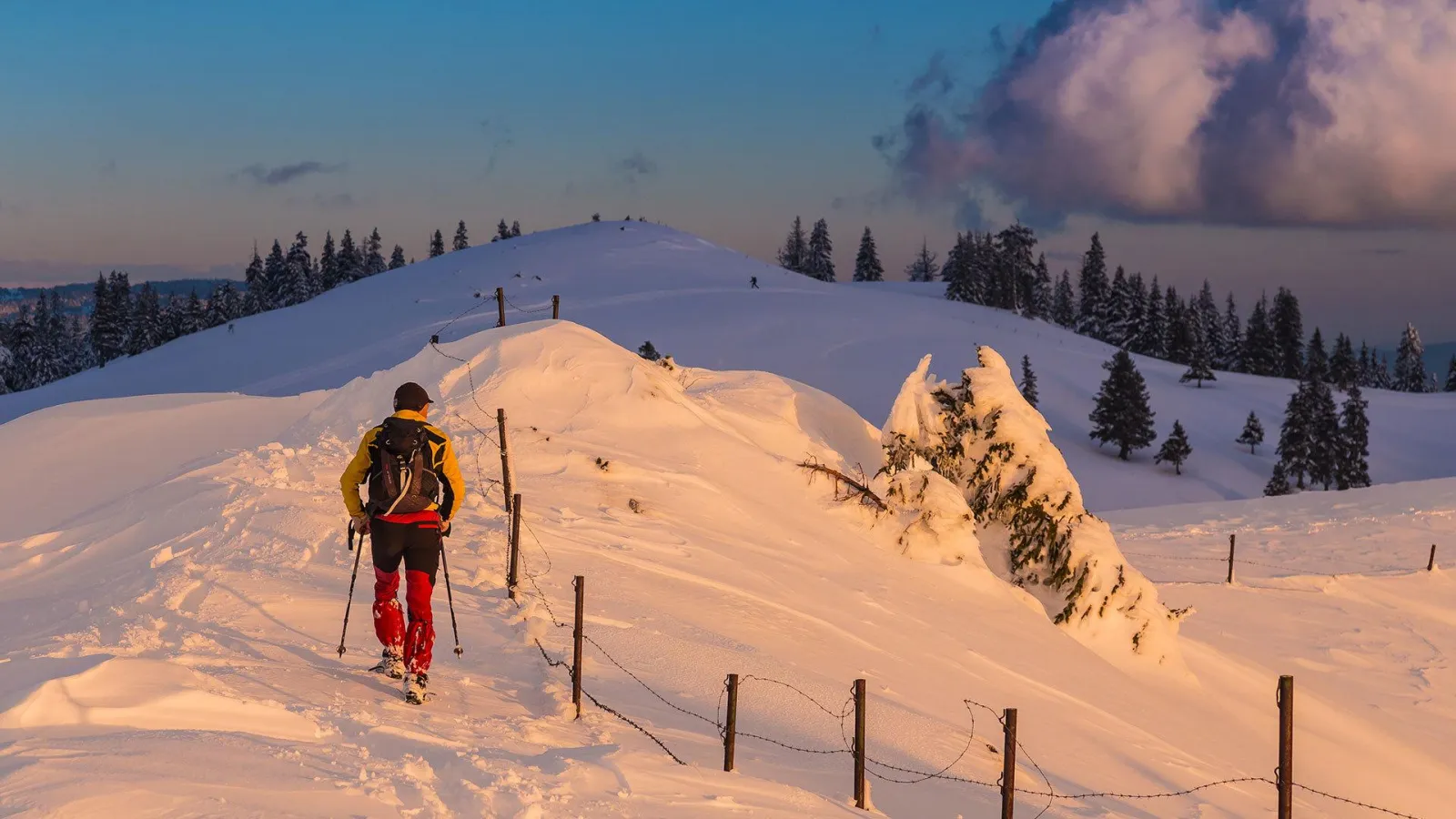 Winteraktivitäten