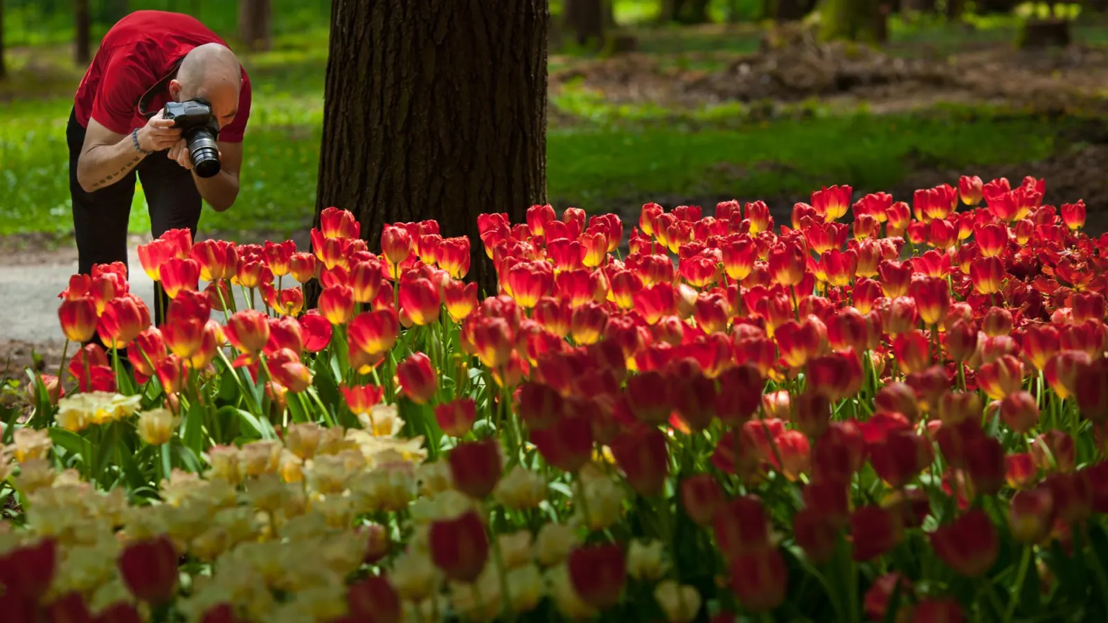 Arboretum Volčji Potok