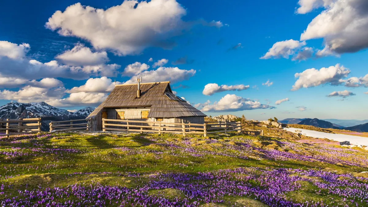 Schäferball auf Velika Planina
