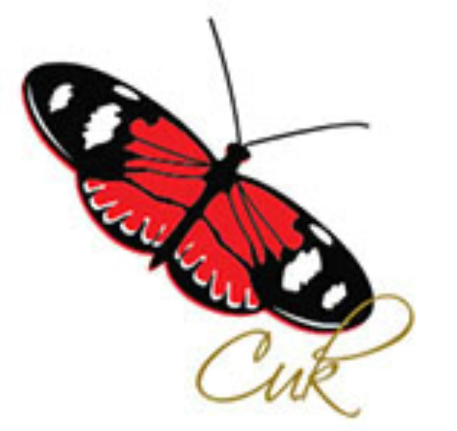 Hisa Vina Cuk